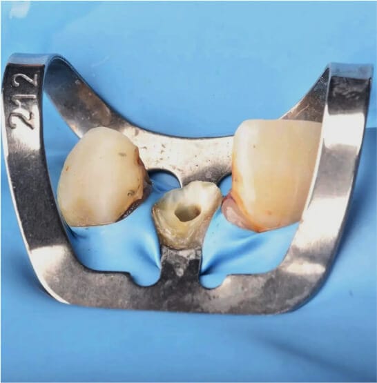 Trust academy dental courses 5 2