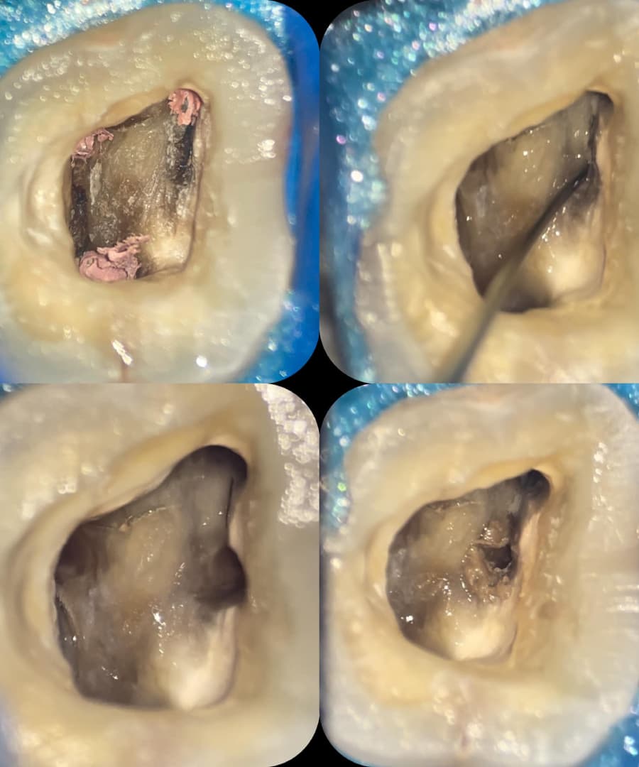 trust-academy-dental-courses (20)