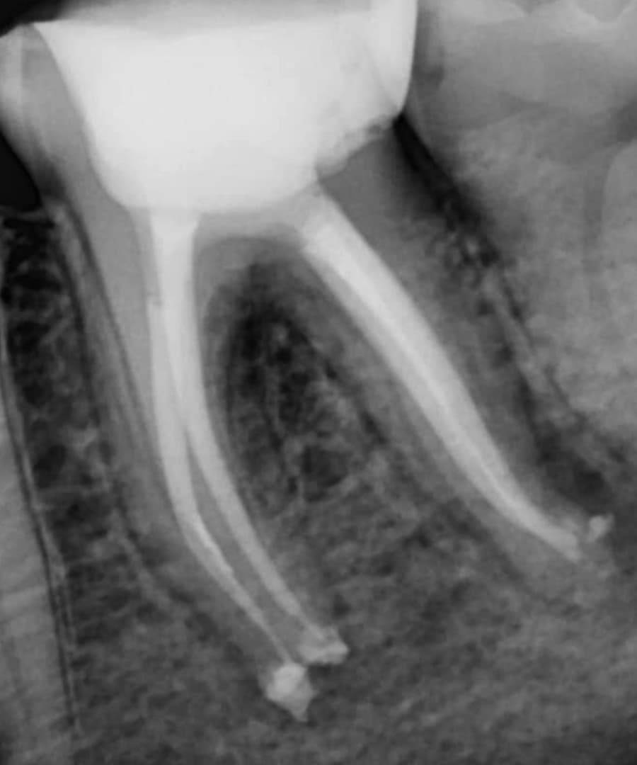 trust-academy-dental-courses (6)