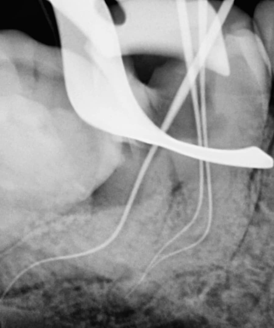 trust-academy-dental-courses (9)